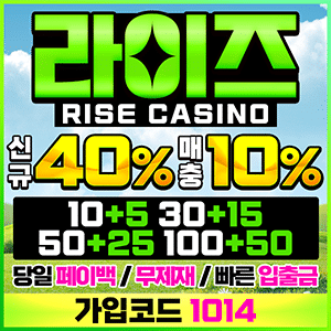 라이즈